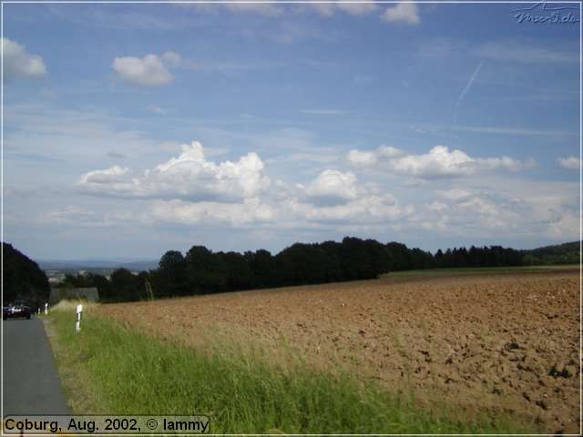 P8031059