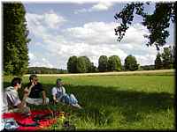 P8031054