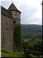 P5173960